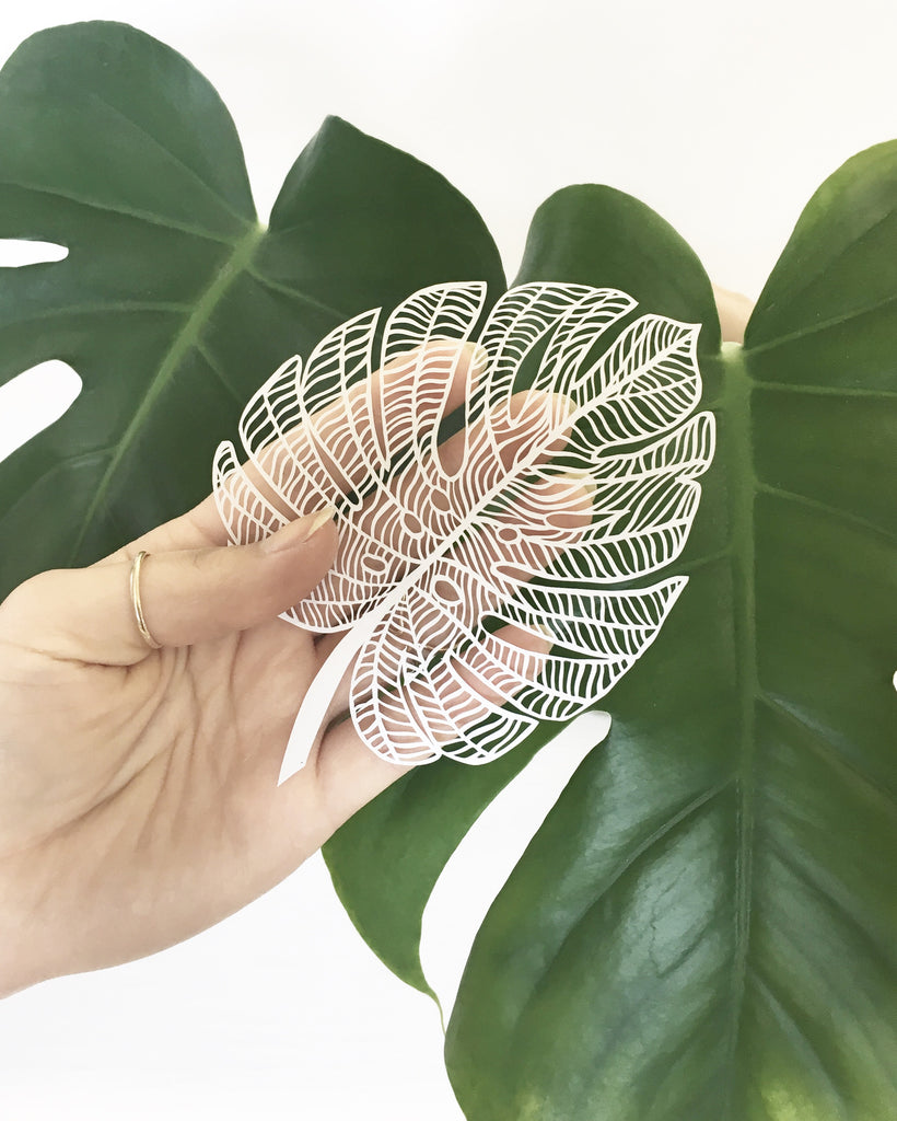 Monstera Leaf Papercutting