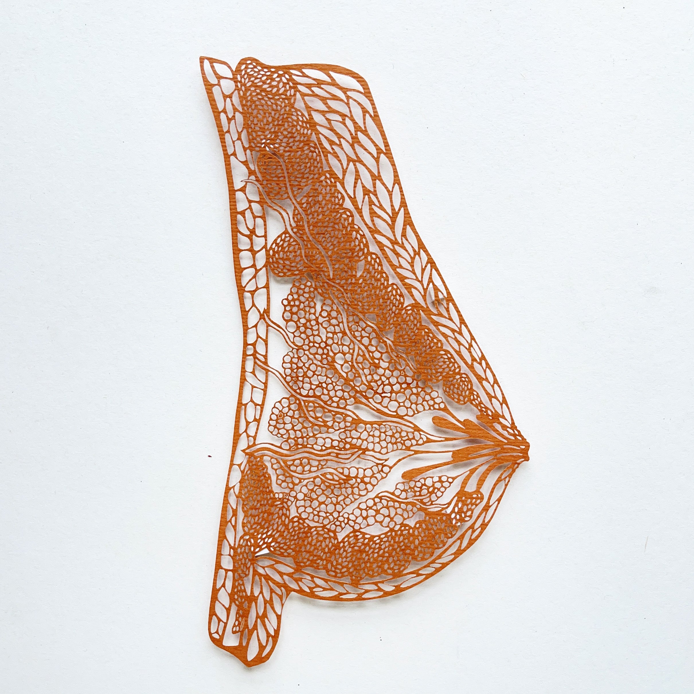 Anatomical Breast Papercutting Artwork