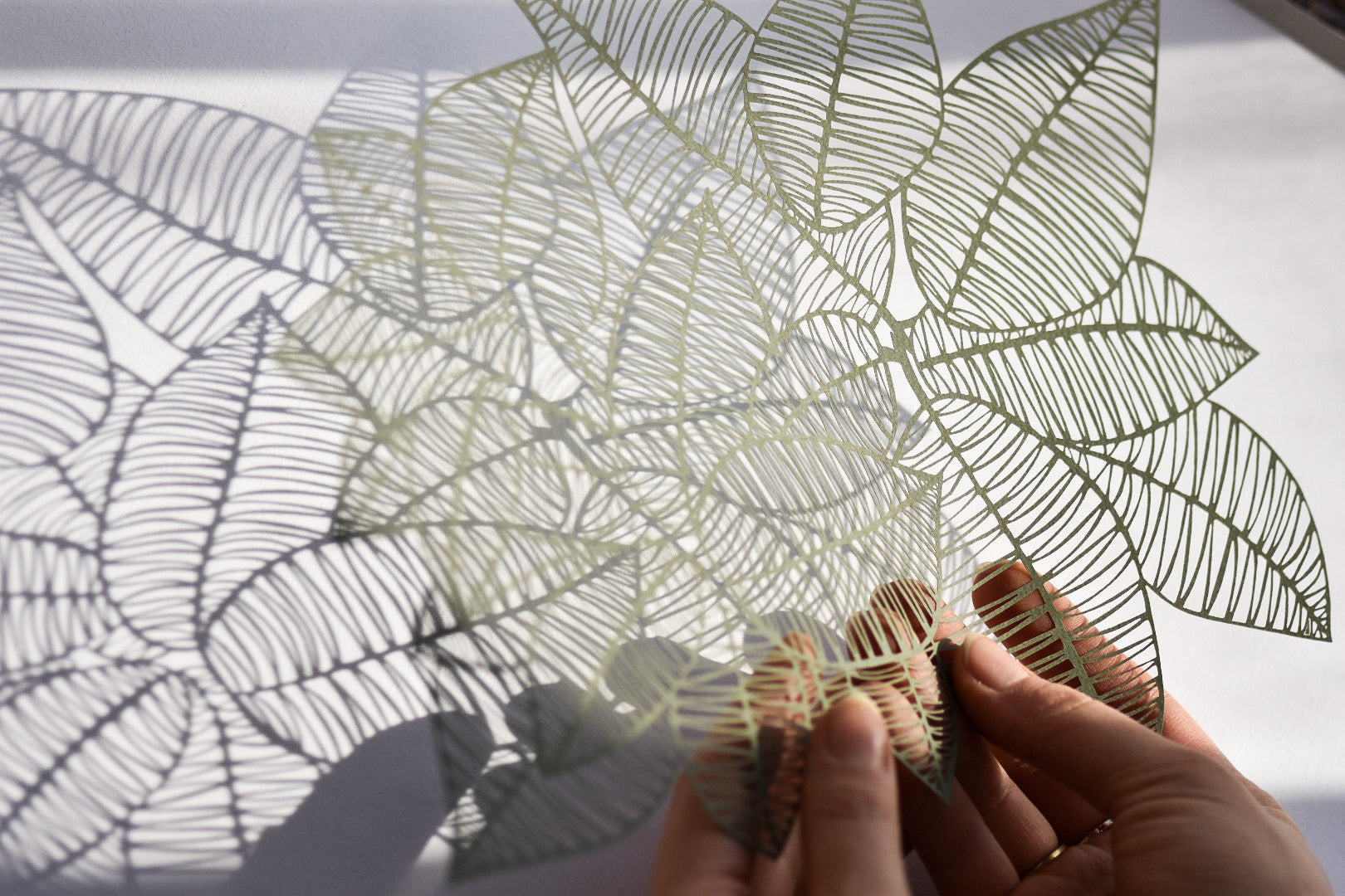 Rubber Leaves Papercutting Artwork