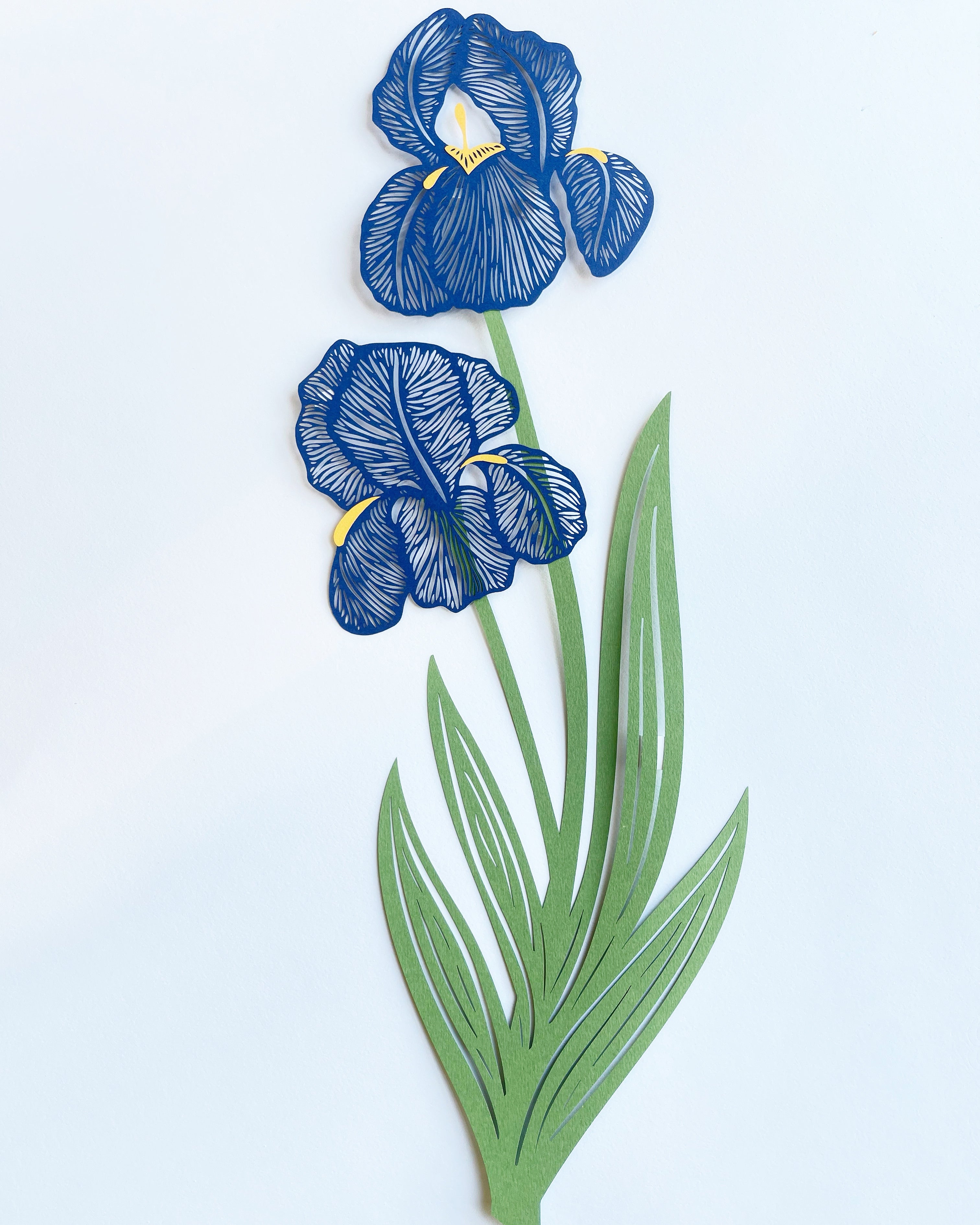 Blue Iris Papercutting