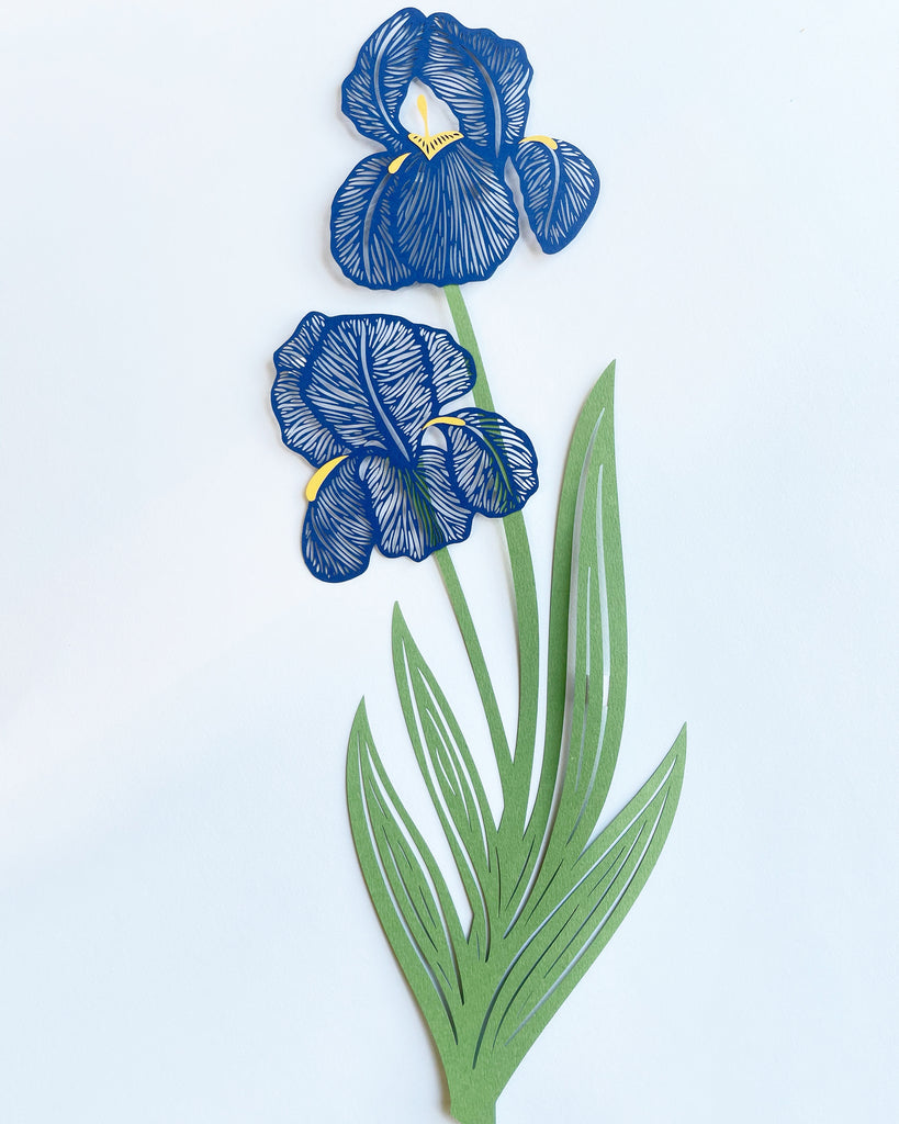 Blue Iris Papercutting