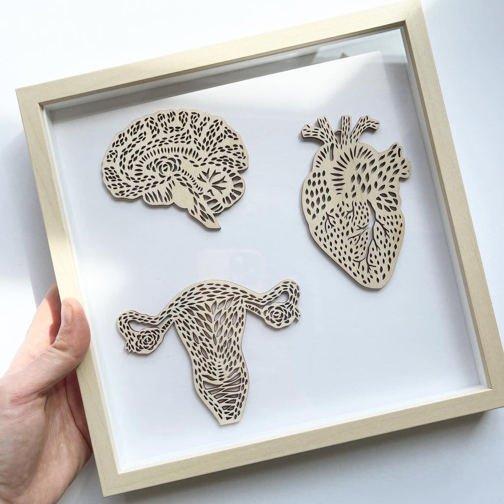 Framed Mini Anatomical Wooden Artwork