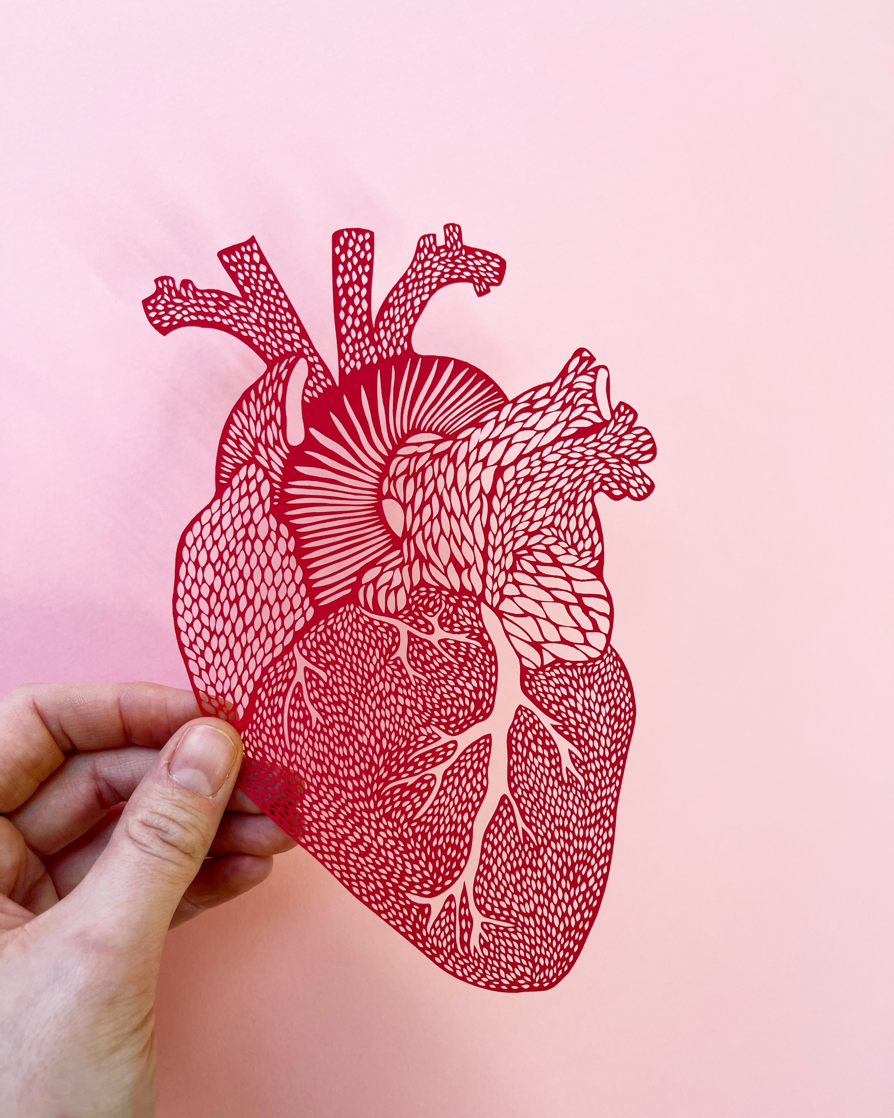 Anatomical Heart Papercutting Artwork