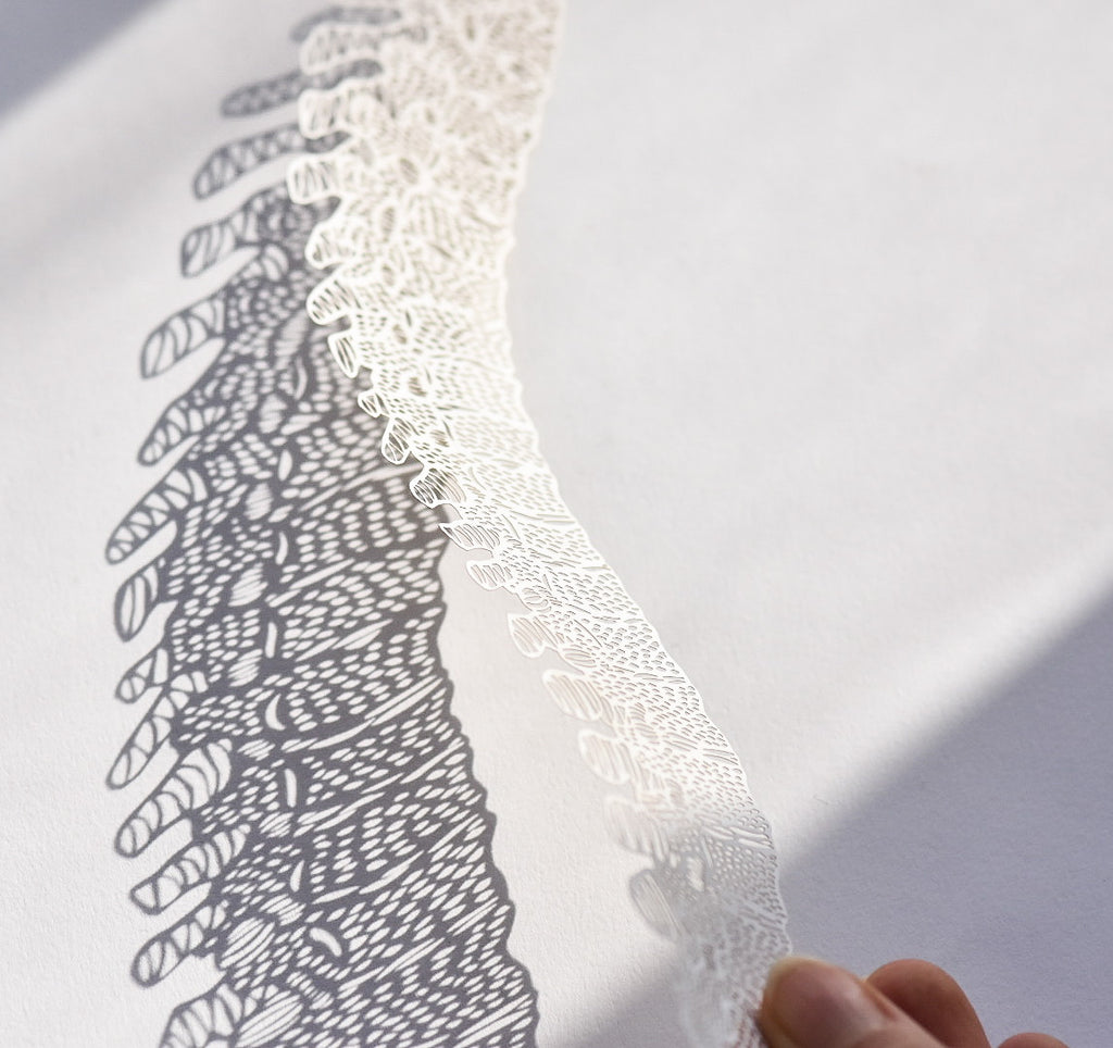 Anatomical Spine Papercutting Artwork